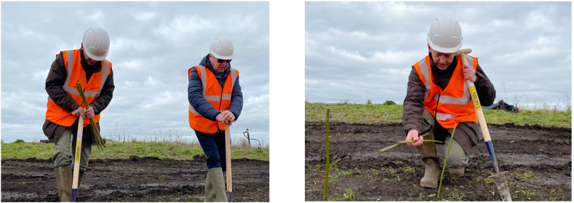 Richard Cook (Leader of Gloucester City Council) and I planting willow at Hempsted